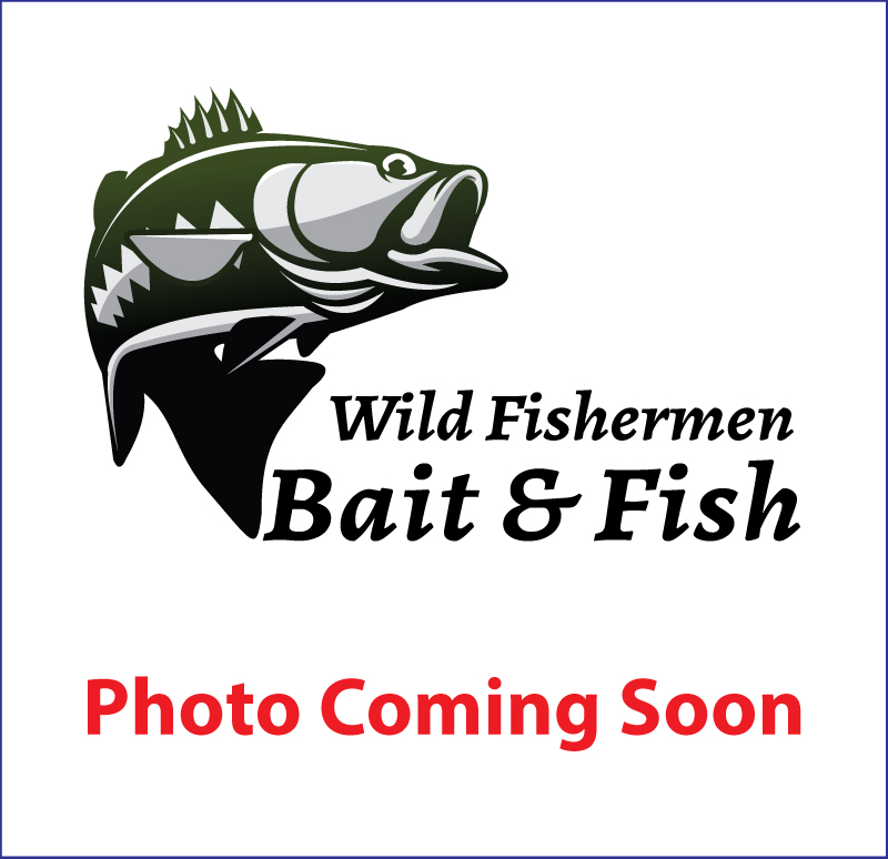 Wild Fishermen Bait and Fish Pond Fish and Bait