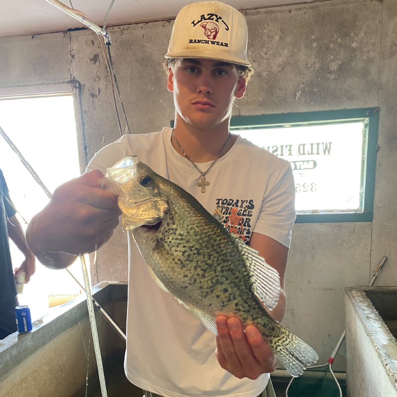 Bait and Pond Stocking Fish