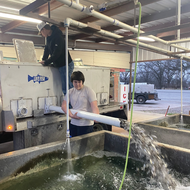 Bait Fish | Pond Fish Stocking