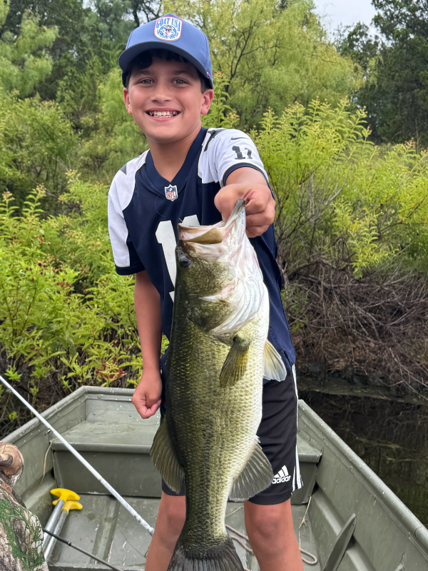 Largemouth Bass